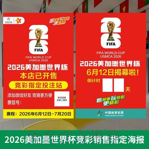 世界杯投注策略与趋势的深度解析 世界杯投注策略与趋势的深度解析